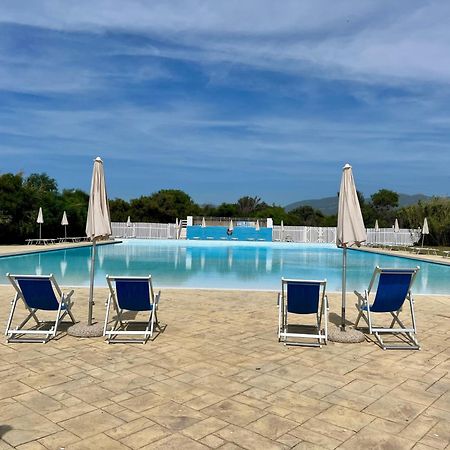 באדזי Apartments Mimose מראה חיצוני תמונה