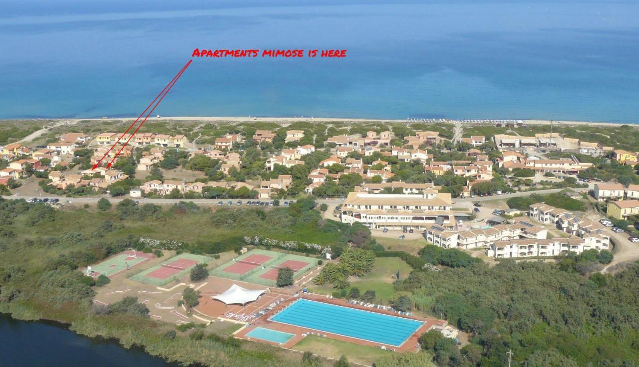 באדזי Apartments Mimose מראה חיצוני תמונה